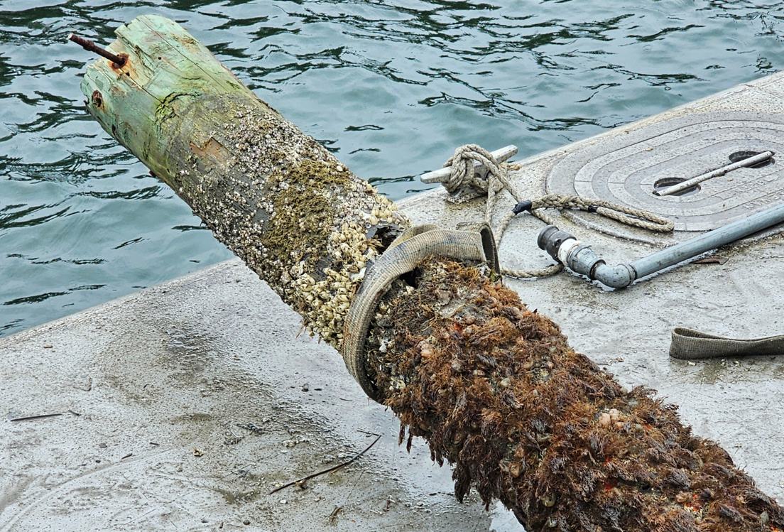 Strained Piler Dominant Driven Pile Systems for Coastal NC Structures